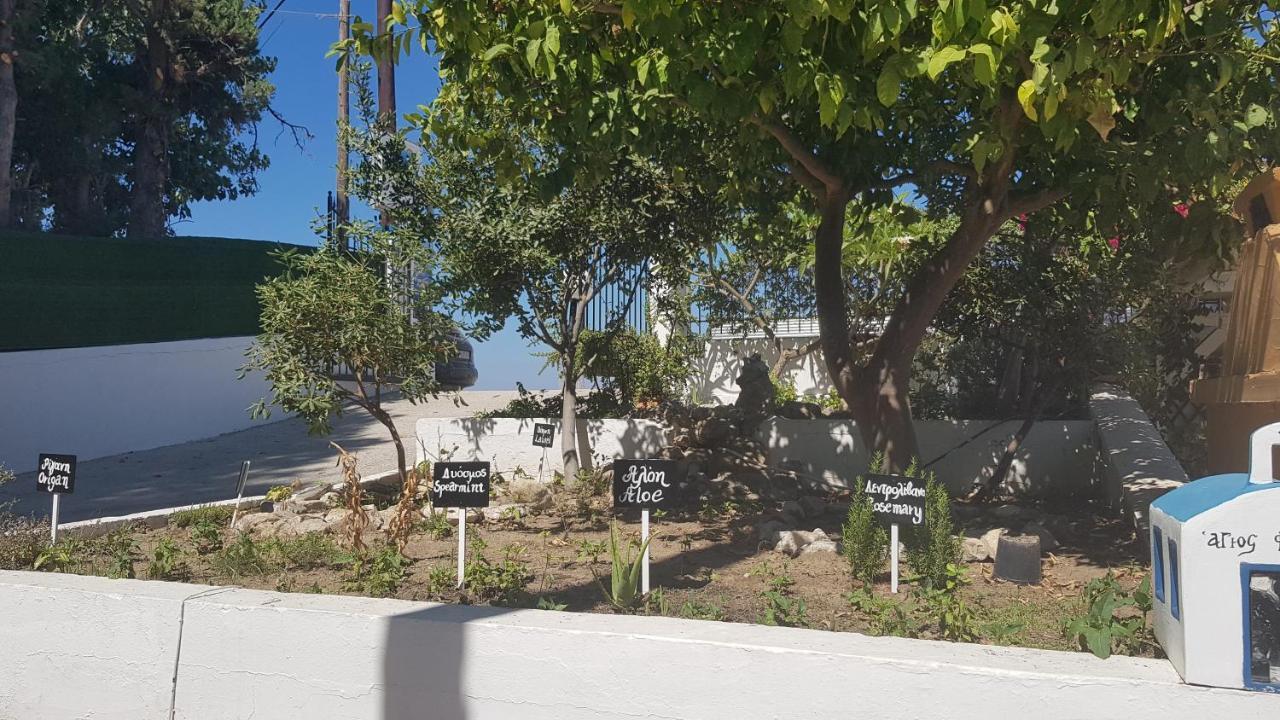阿斯普罗斯皮提酒店 Tigaki 外观 照片